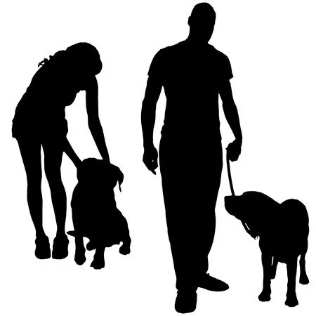 Obedience Training