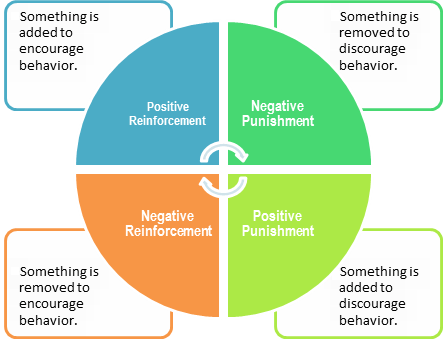 operant conditioning cycle