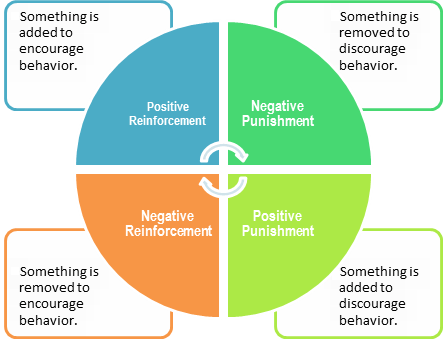 operant-conditioning-cycle.png