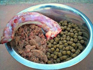 best dog food