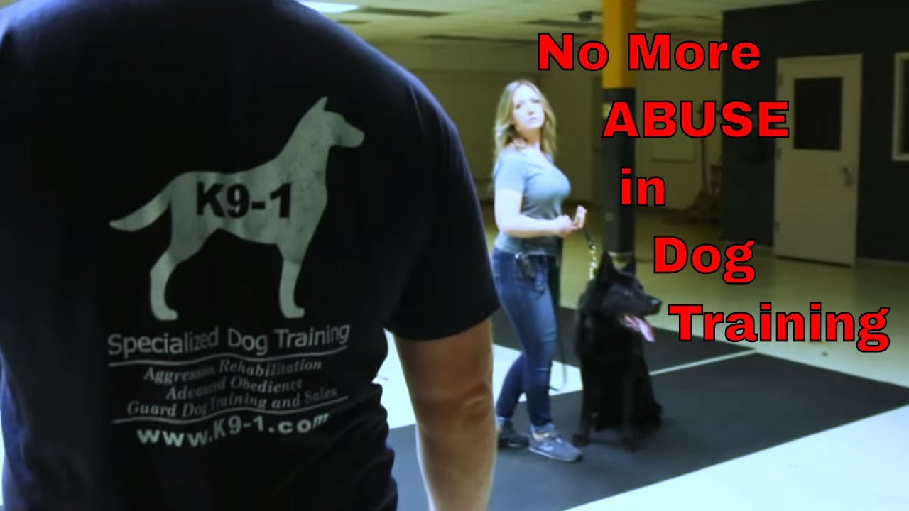 Dog Training World