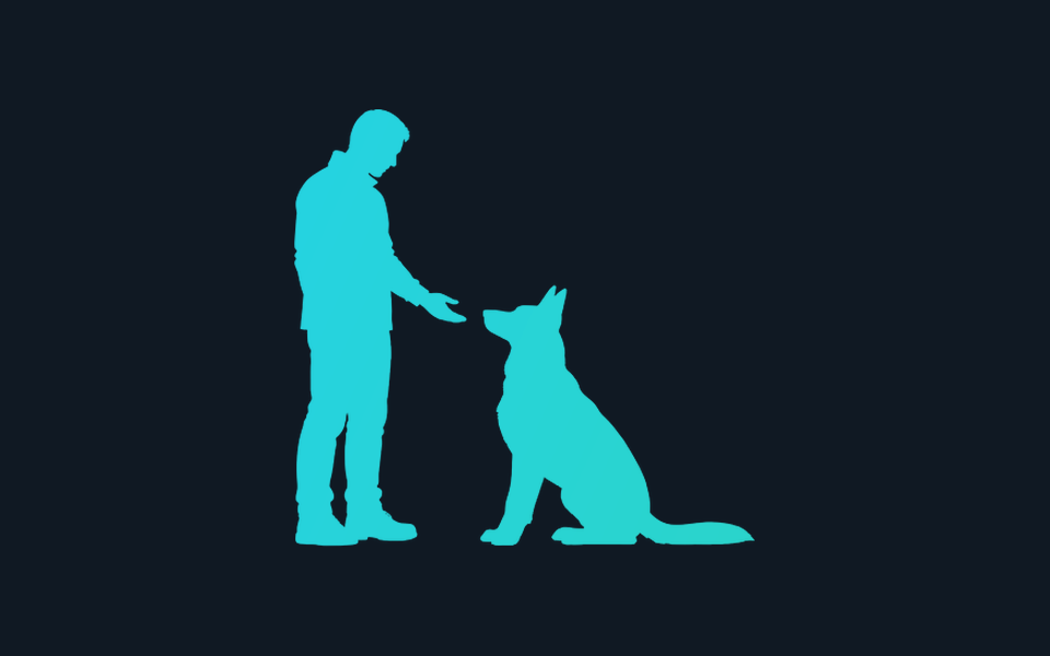 A standing handler giving a hand cue to a seated dog.