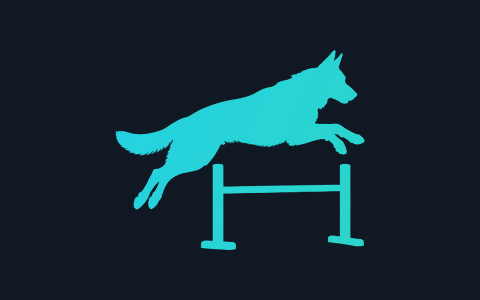 A dog jumping over a low training hurdle.