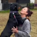 Profile photo of Allie Dellosa