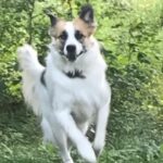 Profile photo of CherylH