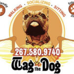 Profile photo of WagtheDog