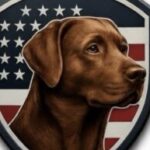 Profile photo of Kenny Wallace