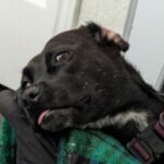 Profile photo of Taylor Lenburg